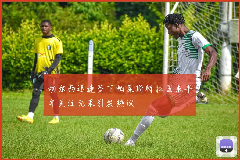 切尔西迅速签下帕莱斯特拉国米半年关注无果引发热议